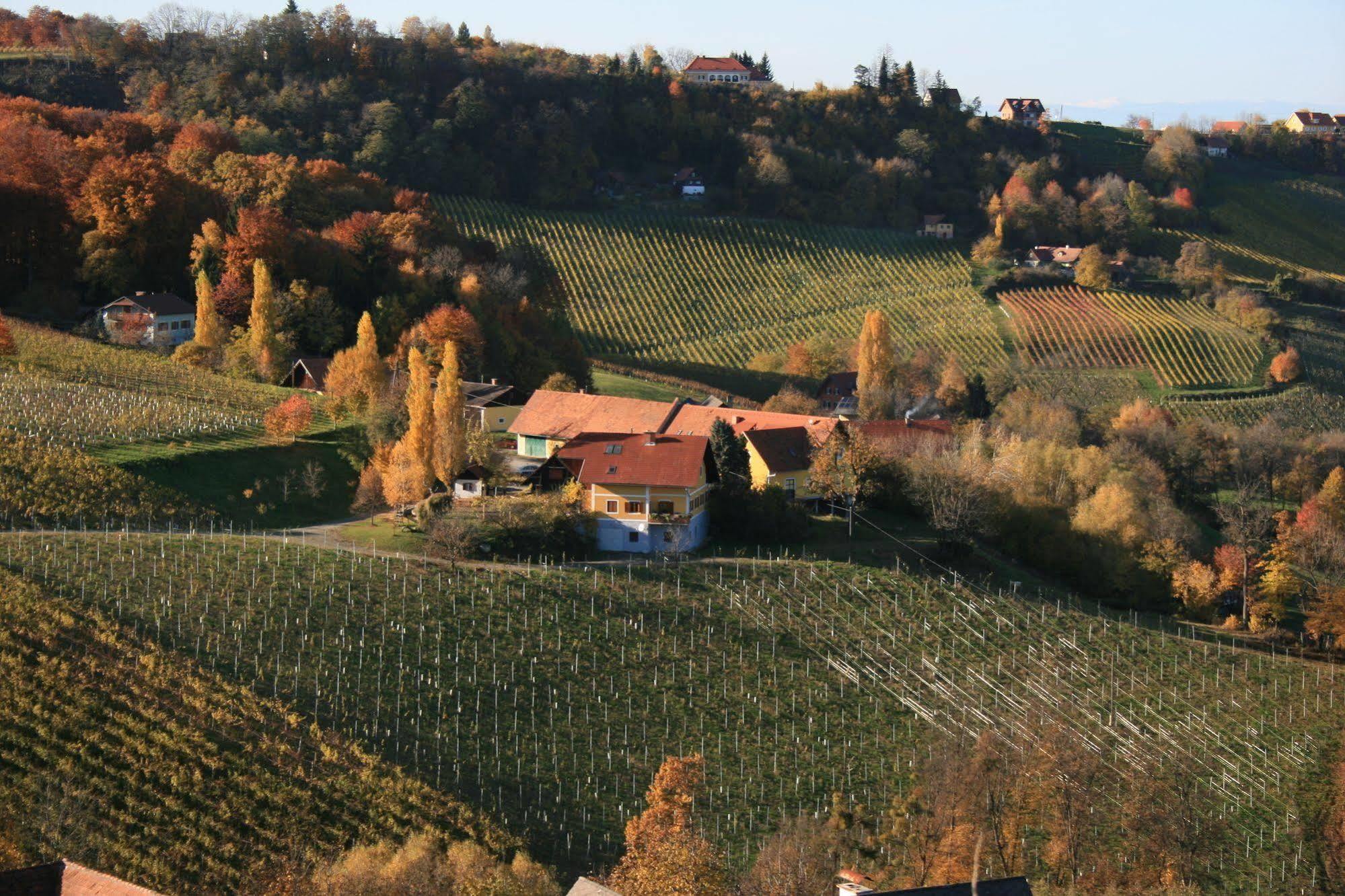Weingut Primus Suedsteiermark Spielfeld Exteriör bild