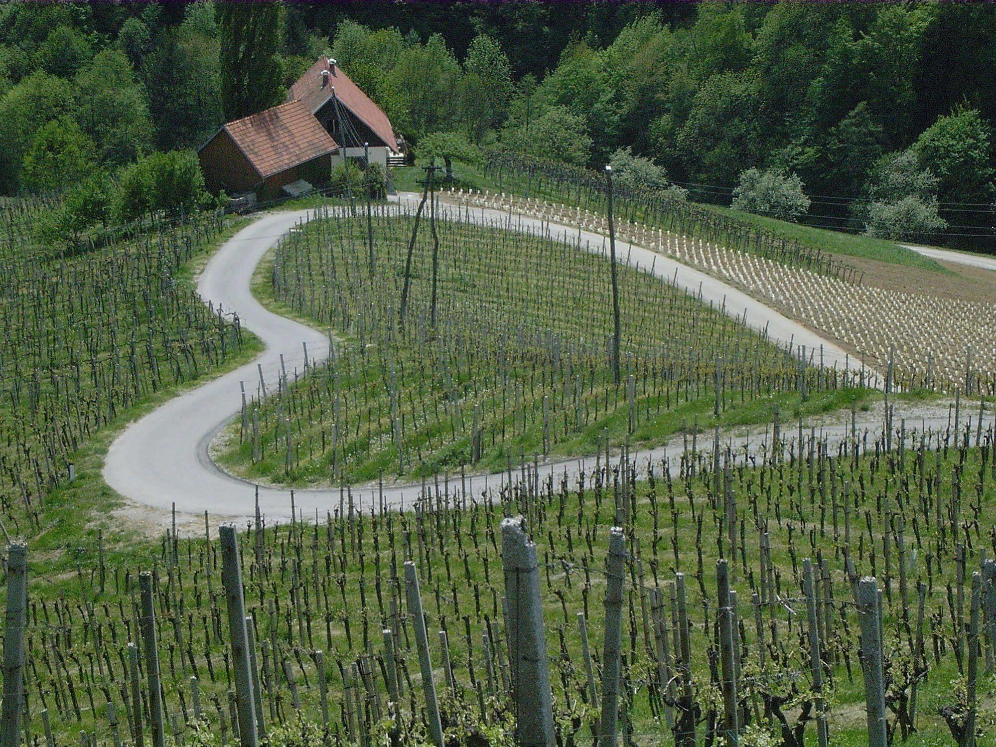 Weingut Primus Suedsteiermark Spielfeld Exteriör bild