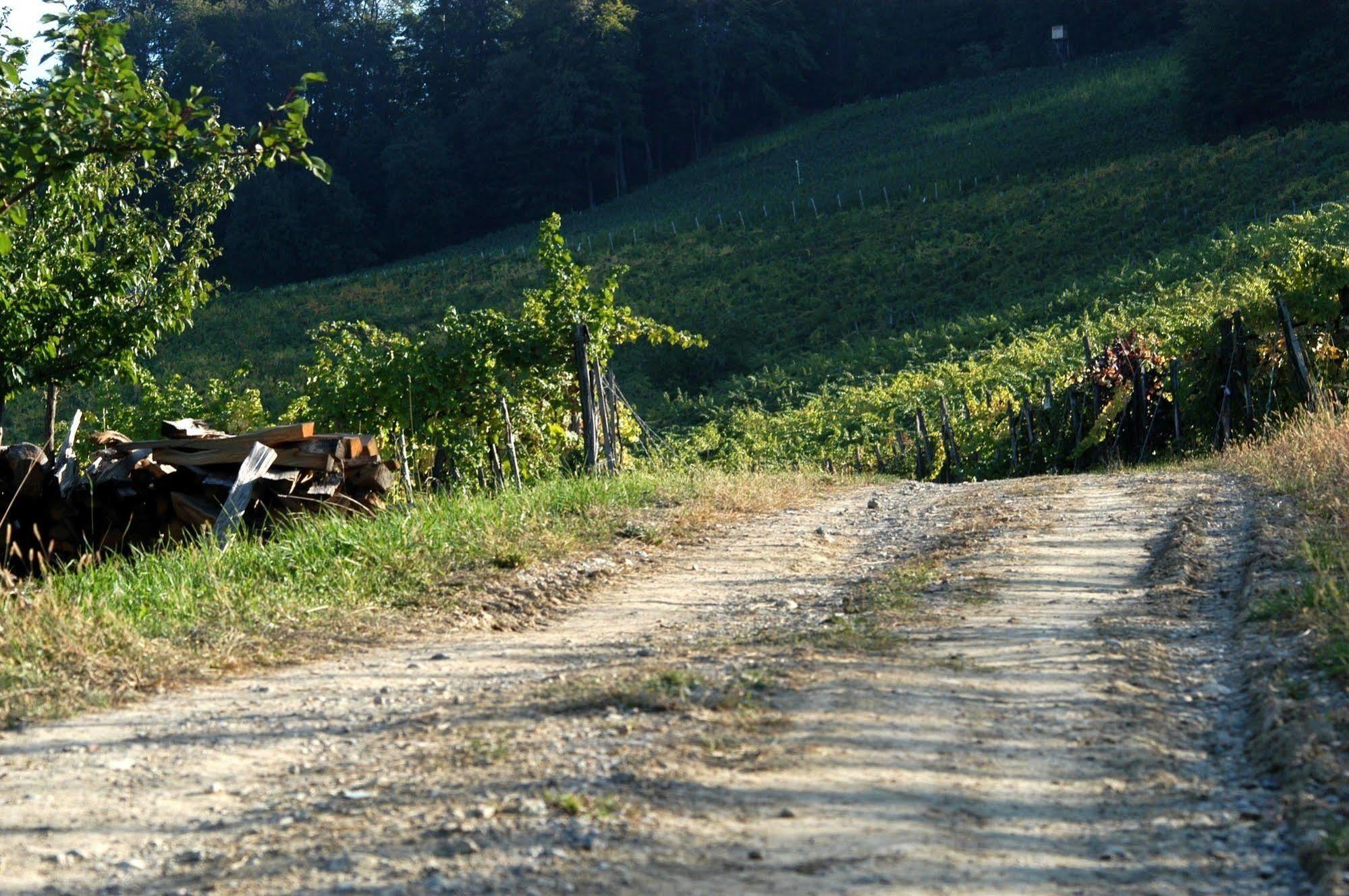 Weingut Primus Suedsteiermark Spielfeld Exteriör bild