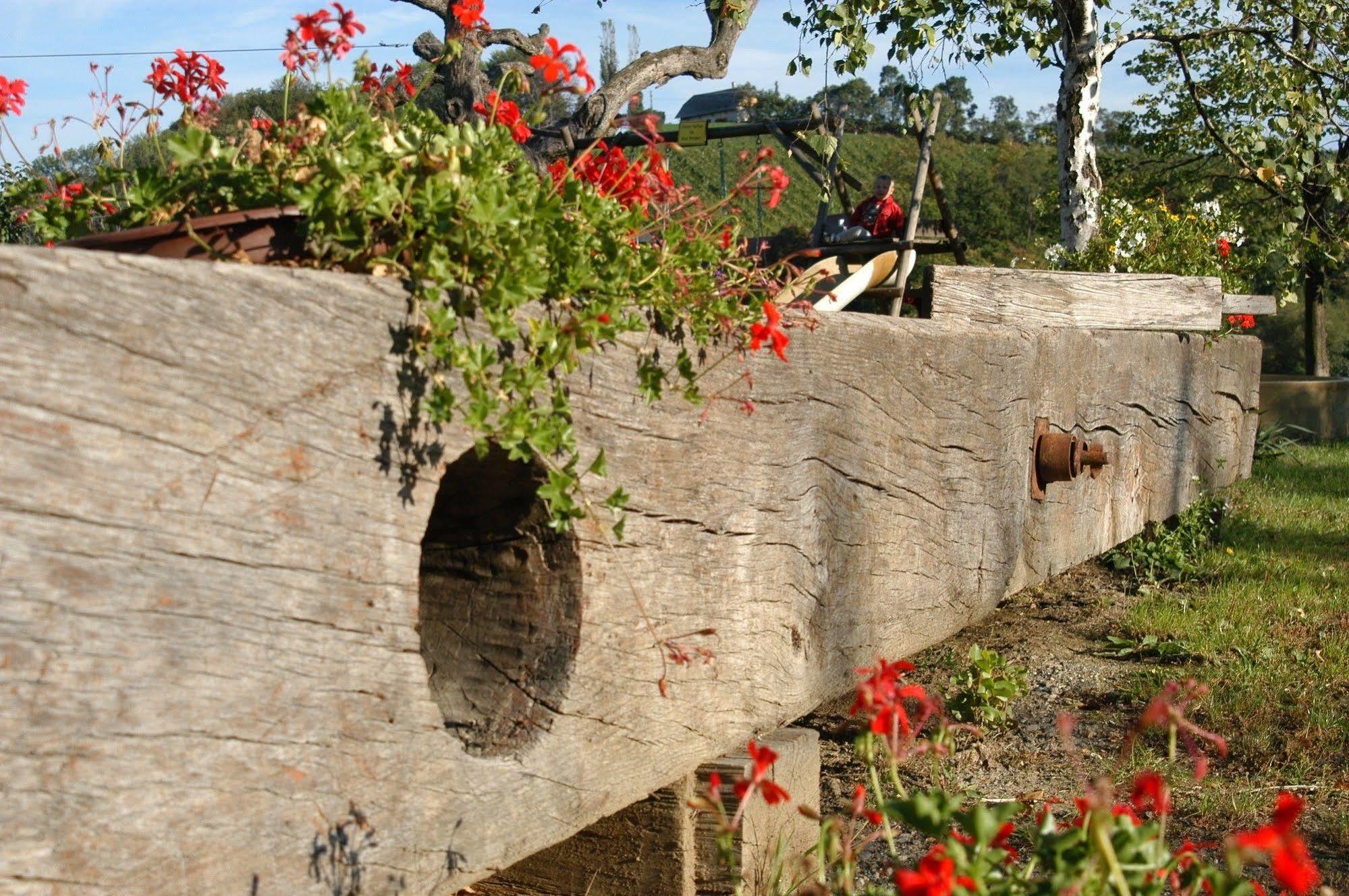 Weingut Primus Suedsteiermark Spielfeld Exteriör bild