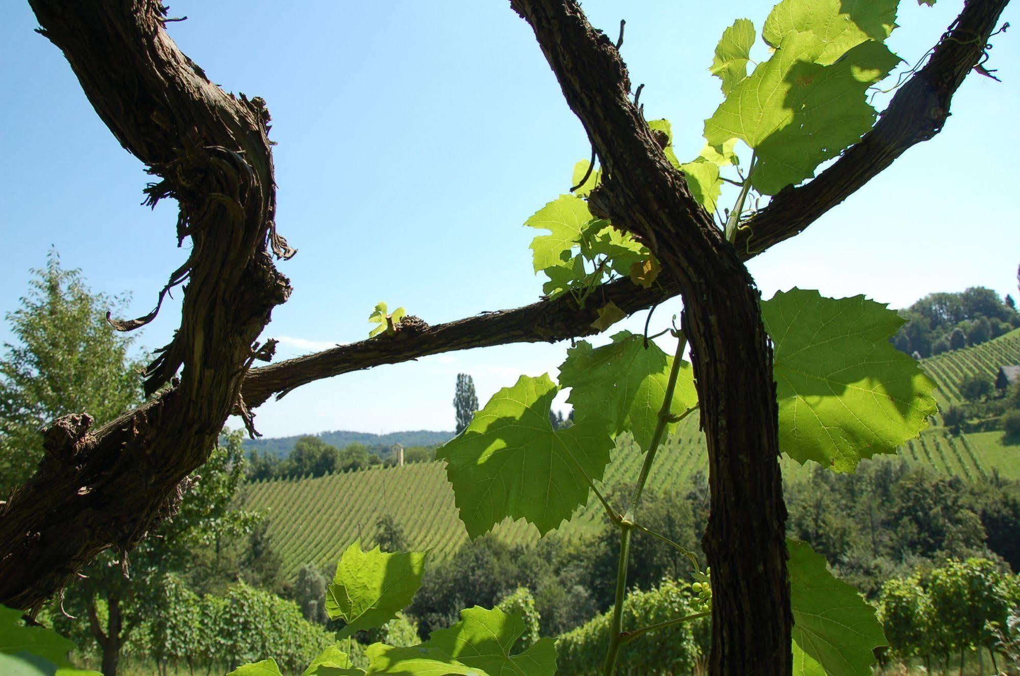 Weingut Primus Suedsteiermark Spielfeld Exteriör bild