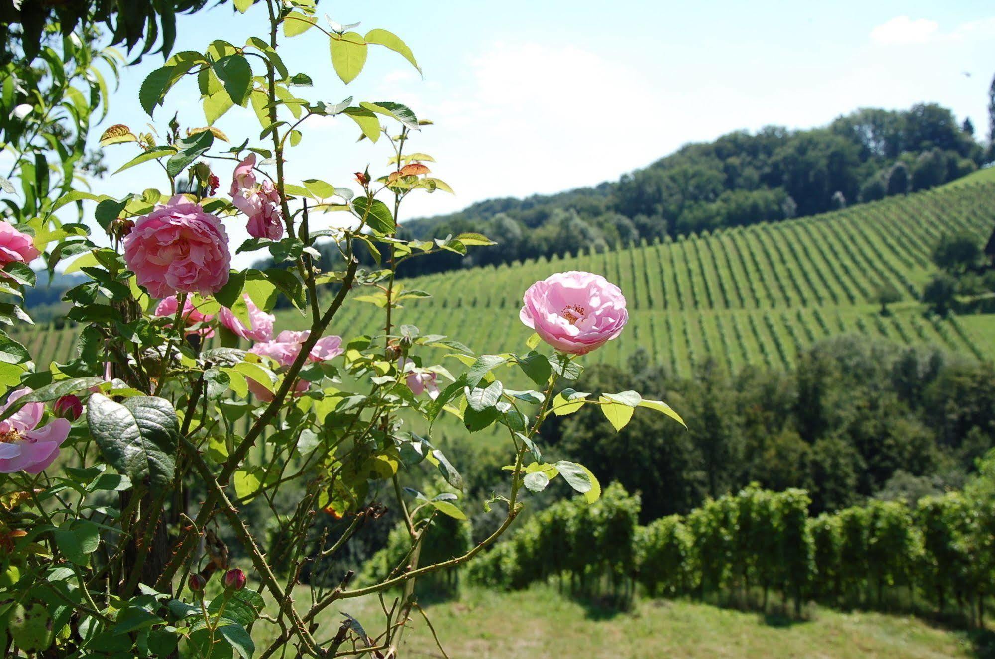 Weingut Primus Suedsteiermark Spielfeld Exteriör bild